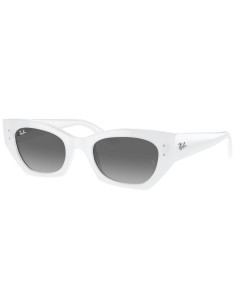 Ray-Ban RB4430 675911 Zena