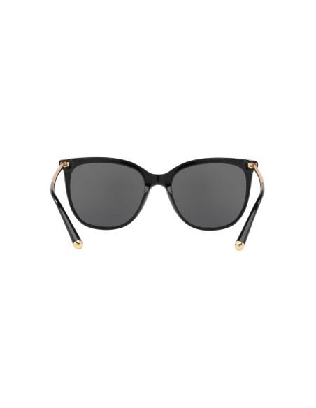 Dolce & Gabbana DG4333 001