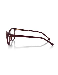 CARRERA 3020 LHF 140 X 2