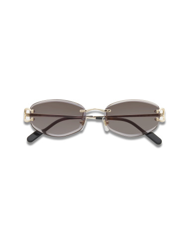 Cartier CT0467S 001
