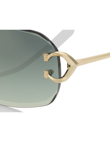 Cartier CT0468S 003