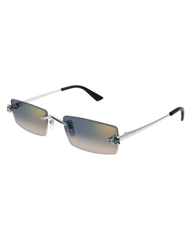 Cartier CT0598S 002