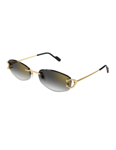 Cartier CT0467S 001