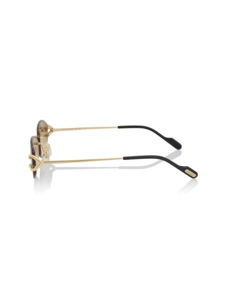 Cartier CT0467S 001