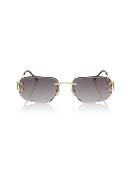 Cartier CT0468S 001