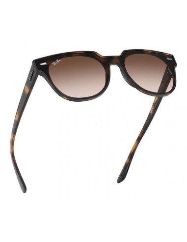 Ray Ban Rb4368n 601/71 Meteor Blaze Negro G-15 Icon Clasico | Sunni...