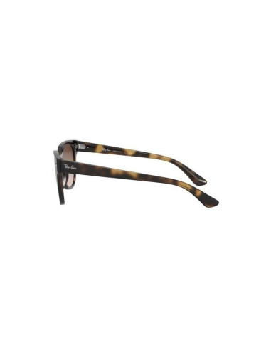 Ray Ban Rb4368n 601/71 Meteor Blaze Negro G-15 Icon Clasico | Sunni...