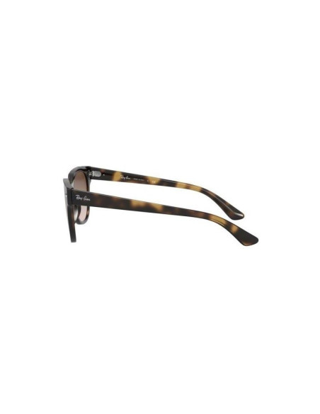 Ray Ban Rb4368n 601/71 Meteor Blaze Negro G-15 Icon Clasico | Sunni...