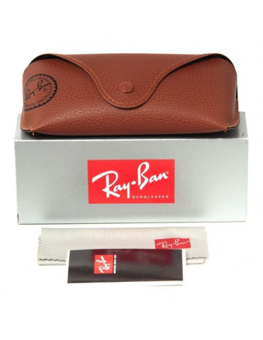 Ray Ban Rb4257 601/71 Gatsby Ii Negro G-15 Dorado Original | Sunnie...