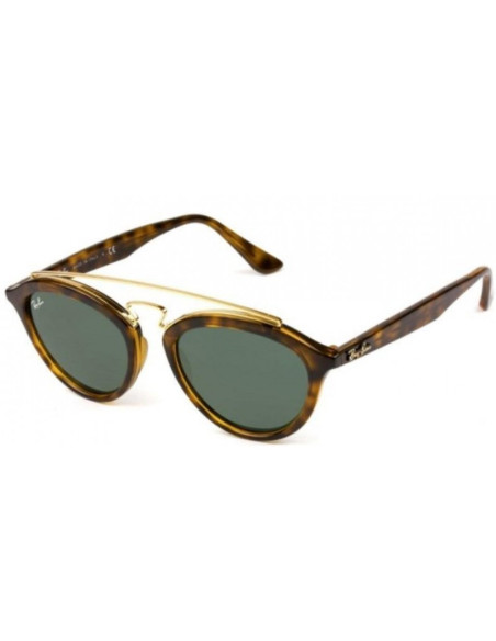 Ray Ban Rb4257 601/71 Gatsby Ii Negro G-15 Dorado Original | Sunnie...